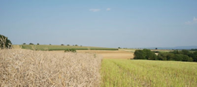 Article_Hero_Image_Runway_Desktop_hu_1024x450