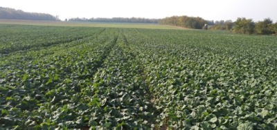 Related Content Card desktop