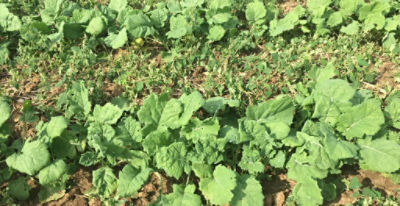 Article Image Runway 04