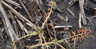 Article Image Runway 05