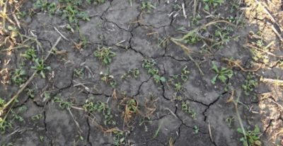 Article Image Runway 06