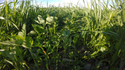 Timelapse, Arylex, Finland
