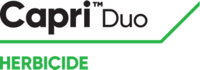 Capri Duo logo