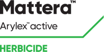 Mattera logo