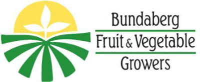 BFVG Logo