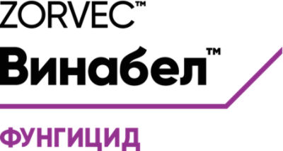 Zorvec Vinabel Logo