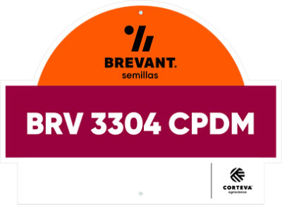 BRV_3304_CPDM