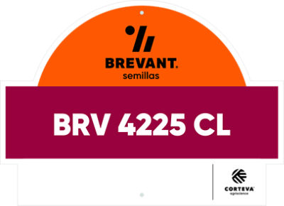 BRV_4225_CL