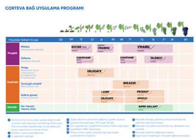 Corteva bag-ilac-programi