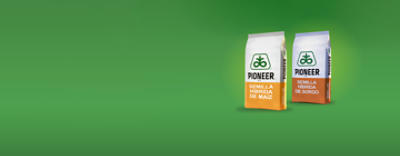 Diversidad e Inclusión