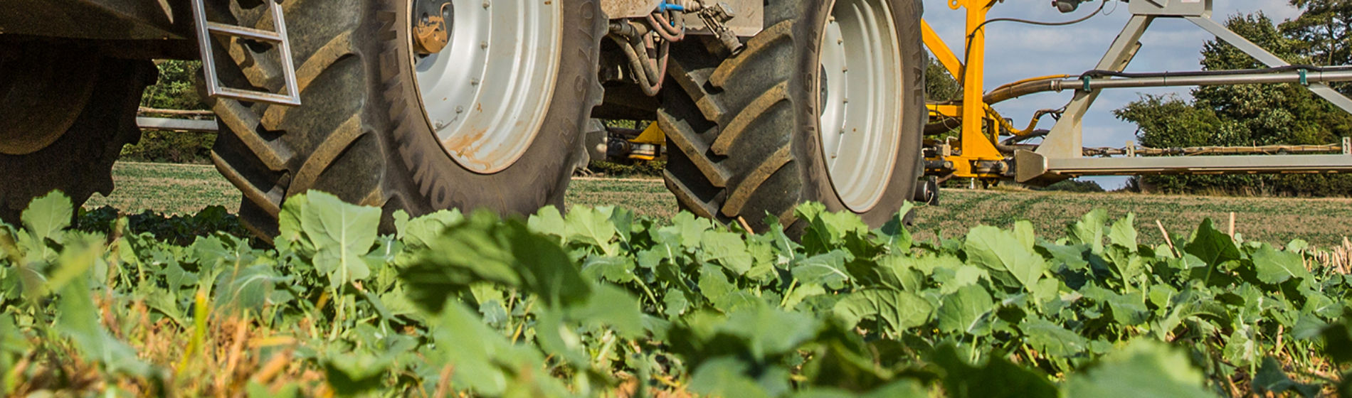 Sprayer in OSR field - Belkar 