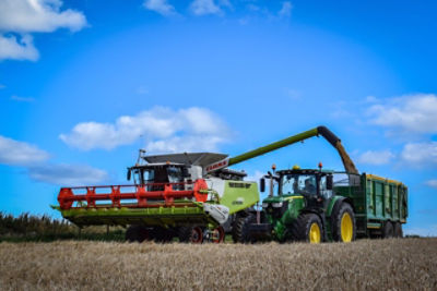 Ben Lowe Harvest