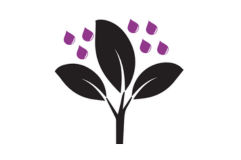 COMPORTAMIENTO EN LA PLANTA