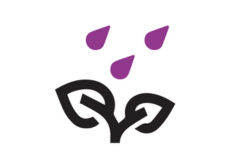 Rápida absorción y resistencia al lavado por lluvias.