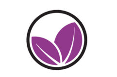 Efecto de hipersensibilidad