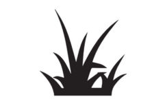 Control selectivo incrementado.