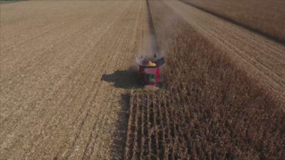 Blue N - Mode of action - DK.mp4