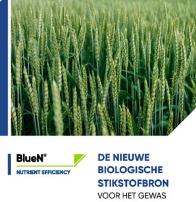 BlueN brochure DT
