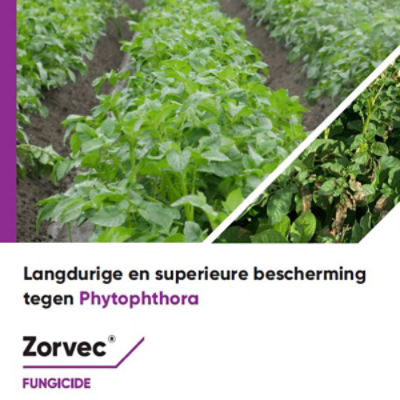 Brochure Zorvec 2022