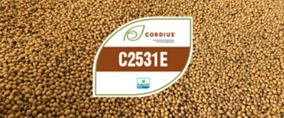C2531E