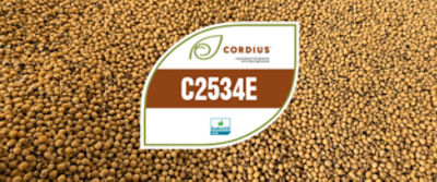 C2534E