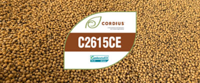 C2615CE