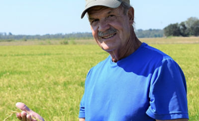 Fontenot in rice field