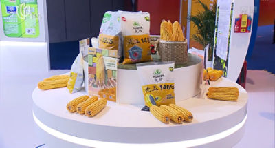 VID-CIIE2022-CN-EN-V1.mp4