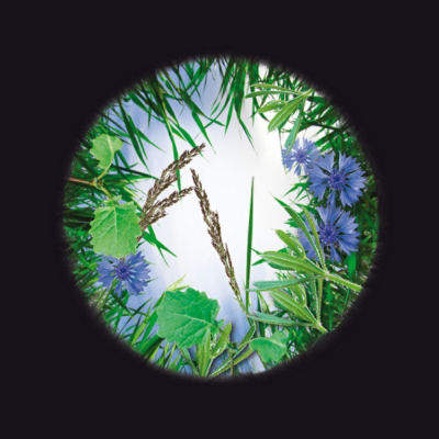 Quelex™  Complex Pak