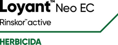 Loyant™ Neo EC 
