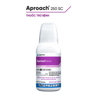 Aproach® 250SC trên Xoài 