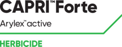 Capri Forte Logo_web