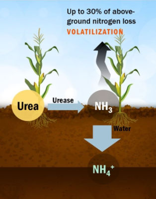 imagem_pagina_enlist