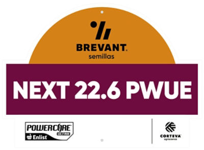 Cartel-5_next_226_logo_alt