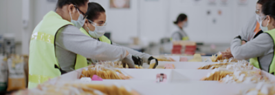 Centro de investigación 2, 1400x500