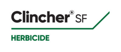 Clincher logo