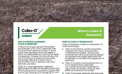 Colex-D – Introductory Tech Note