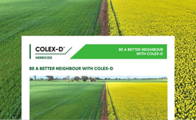 Colex-D Volatility Technote