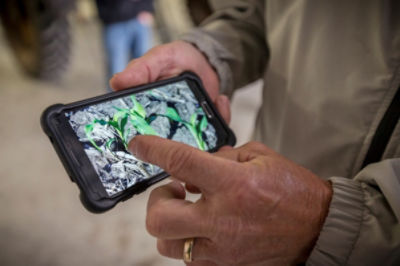 Corn_Harvest_Minnesota_C2068_F