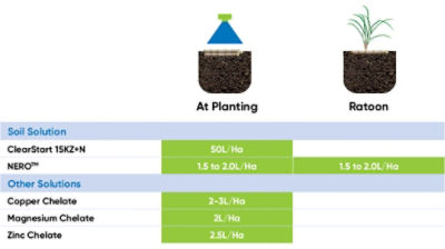 Sugarcane Phenology Chart