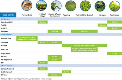 Table Grape Phenology Chart
