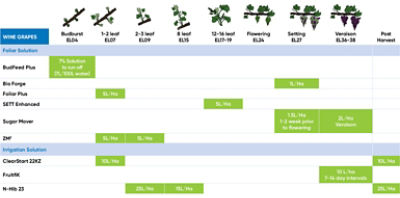 Wine Grape Phenology Chart