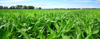 CortevaInstinctcover1440