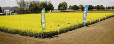 CortevaPioneerrecpe2022tavasz1440560