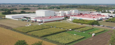 CortevaSzarvadseedcompany