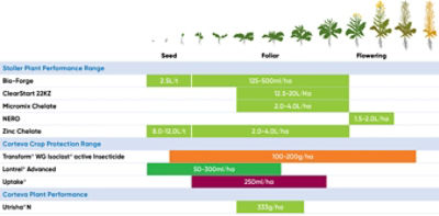 Canola Phenology Chart