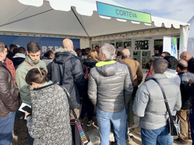 Corteva_Datagri_2019_(2)