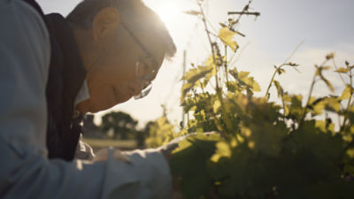 crop_protection