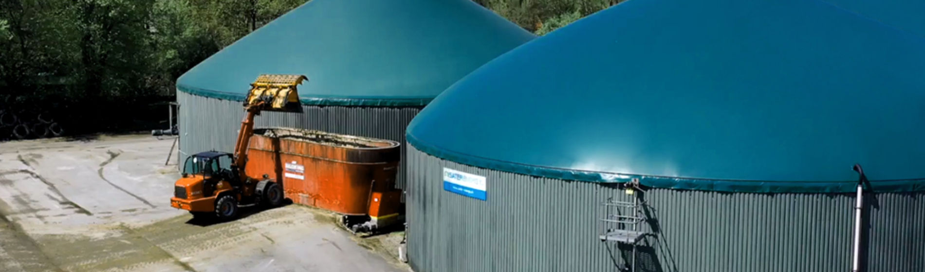 Silo und Futtermais