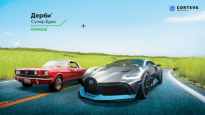 Традиция и Иновации